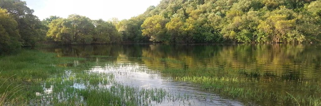 7 Dams Image (2)